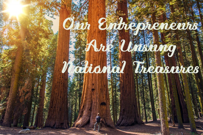 Entrepreneurs are National Treasures and Economic Lifeblood